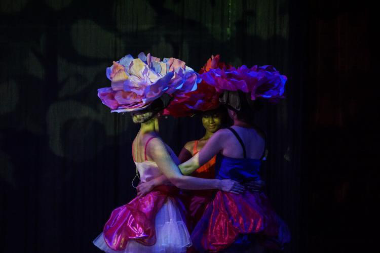 tableau fleurs comédie musicale mary